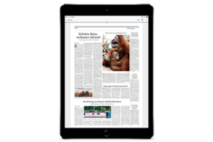 Abbildung iPad 2021